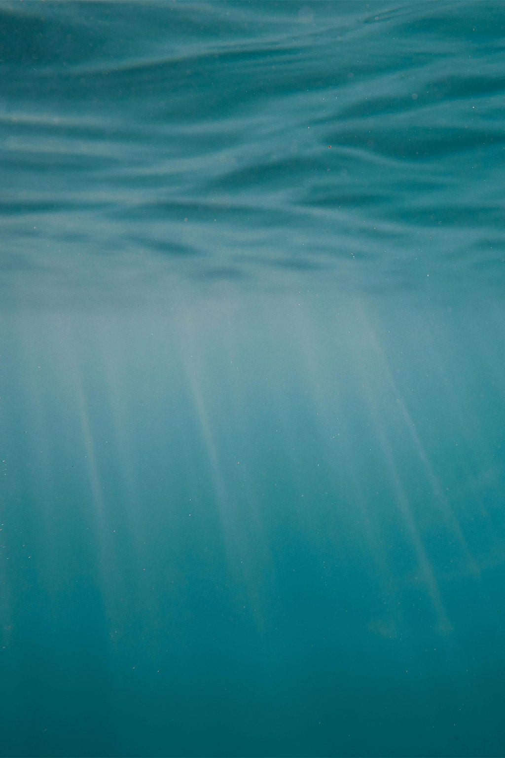Siamo Aqua, e tutto ciò che vi si connette.