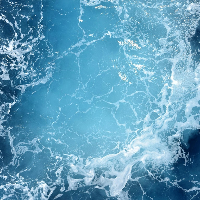 Siamo pronti a farvi immergere nel mondo di Aqua